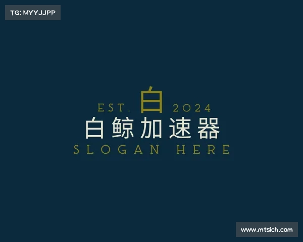 认识白鲸加速器